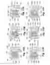 Fig. 09 - Multi-lobed seal member