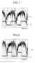 Fig. 06 - Apparatus and method for detecting an abnormality of a generator for vehicles