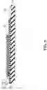 Fig. 07 - Piezoelectric device, its manufacturing method, liquid ejection head, and printer