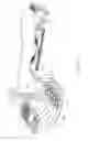 Fig. 20 - Method of minimizing nozzle drooling during printhead priming