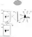 Fig. 01 - COMPACT PASSIVE LOW-LIGHT IMAGING APPARATUS