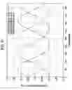 Fig. 22 - Image processing apparatus, flicker reduction method, imaging apparatus, and flicker reduction program