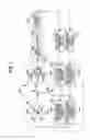 Fig. 08 - Apparatus for carrying a printing medium, printer that has the apparatus, method for carrying a printing medium and printer