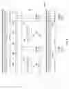 Fig. 07 - Method and apparatus for enabling coexistence of plurality of communication technologies on communication device