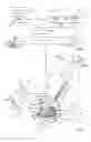 Fig. 02 - Automatic detection of a surgical tool on an image provided by a medical imaging system