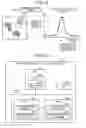 Fig. 08 - IMAGE PROCESSING APPARATUS, IMAGE PROCESSING METHOD, AND IMAGE PROCESSING PROGRAM