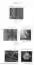 Fig. 10 - Bronze-based alloy of low lead content