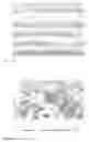 Fig. 02 - Continuous process for the production of carbon nanofiber reinforced continuous fiber preforms and composites made therefrom