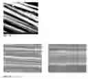 Fig. 08 - Continuous process for the production of carbon nanofiber reinforced continuous fiber preforms and composites made therefrom