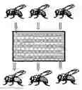 Fig. 01 - Insect repellent and process for identifying other insect repellent molecules