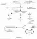 Fig. 07 - Insect repellent and process for identifying other insect repellent molecules
