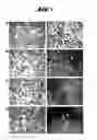 Fig. 02 - NON-PATHOGENIC AND/OR ATTENUATED BACTERIA CAPABLE OF INDUCING APOPTOSIS IN MACROPHAGES, PROCESS OF MANUFACTURING AND USES THEREOF