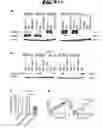 Fig. 09 - NON-PATHOGENIC AND/OR ATTENUATED BACTERIA CAPABLE OF INDUCING APOPTOSIS IN MACROPHAGES, PROCESS OF MANUFACTURING AND USES THEREOF