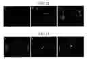 Fig. 07 - Pharmaceutical Composition For Treating Vascular-Related Diseases Comprising Peptide
