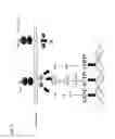 Fig. 06 - Rage/Diaphanous Interaction and Related Compositions and Methods