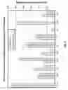 Fig. 06 - ANTIBODIES AND USES THEREOF