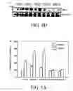 Fig. 08 - Methods and compositions for inhibition of vascular permeability