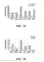 Fig. 02 - METHOD FOR TREATING CANCERS WITH INCREASED RAS SIGNALING