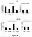 Fig. 06 - Agents and methods based on the use of the EDA domain of fibronectin