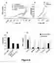 Fig. 07 - Agents and methods based on the use of the EDA domain of fibronectin