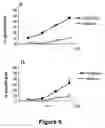 Fig. 09 - Agents and methods based on the use of the EDA domain of fibronectin