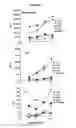 Fig. 04 - Novel T-Helper Antigenic Determinant (THD) Peptides