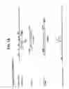 Fig. 02 - Recombinant mononegaviral virus vectors