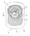 Fig. 09 - Artificial tooth medicating apparatus for controlling, regulating, sensing, and releasing medical agents into the body