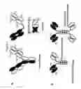 Fig. 02 - METHODS OF TREATING AND PREVENTING ACUTE MYOCARDIAL INFARCTION
