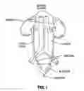 Fig. 02 - METHODS FOR TREATING A STRICTURE WITH A BOTULINUM TOXIN
