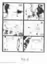 Fig. 07 - Prevascularized constructs for implantation to provide blood perfusion
