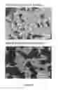 Fig. 07 - Dispersion-toughened cordierite for filter and substrate applications