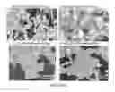 Fig. 09 - Dispersion-toughened cordierite for filter and substrate applications