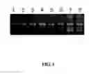 Fig. 02 - KIT SUITABLE FOR SCREENING AND ESTABLISMENT OF OPTIMAL AMPLIFICATION CONDITION IN PCR CONSTRUCTED WITH DRIED-FORMULATED PCR REAGENT AND METHOD FOR PRODUCING THE SAME