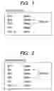 Fig. 02 - Probe, probe set, probe-immobilized carrier, and genetic testing method