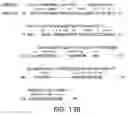 Fig. 294 - Novel genes encoding proteins having prognostic, diagnostic, preventive, therapeutic, and other uses