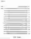 Fig. 331 - Novel genes encoding proteins having prognostic, diagnostic, preventive, therapeutic, and other uses