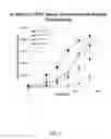 Fig. 06 - COMPOSITIONS AND METHODS FOR DETERMINING NEPHROTOXICITY