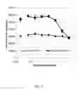Fig. 07 - COMPOSITIONS AND METHODS FOR DETERMINING NEPHROTOXICITY