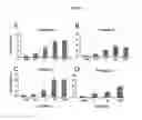 Fig. 07 - CELL-BASED METHODS FOR DETECTING AND/OR MEASURING BMP-12-RELATED PROTEIN ACTIVITY