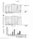 Fig. 08 - CELL-BASED METHODS FOR DETECTING AND/OR MEASURING BMP-12-RELATED PROTEIN ACTIVITY