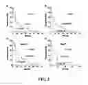 Fig. 04 - RAPID EFFICACY ASSESSMENT METHOD FOR LUNG CANCER THERAPY