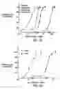 Fig. 06 - Methods of quantifying taste of compounds for food or beverages