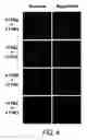 Fig. 07 - Methods of quantifying taste of compounds for food or beverages