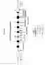 Fig. 14 - Sulfotransferase sequence variants