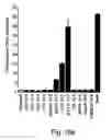 Fig. 15 - METHOD FOR AUGMENTING THE ABILITY OF T-CELLS AND OTHER CELLS FOR FIGHTING DISEASE AND INVADE DISEASED ORGANS, FOR ELEVATING CD3 ZETA AND TNF-ALPHA EXPRESSION IN T-CELLS, AND MIXING T-CELL BOOSTING  AND KIT PARTICULARLY USEFUL IN SUCH METHOD