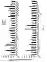 Fig. 02 - Increasing glucose transport and insulin-stimulated glucose uptake