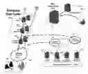 Fig. 01 - METHOD AND SYSTEM FOR MULTIPLE SUB-SYSTEMS META SECURITY POLICY