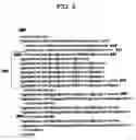 Fig. 07 - Compiler for a declarative event-driven programming model