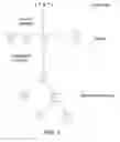 Fig. 02 - System representation and handling techniques